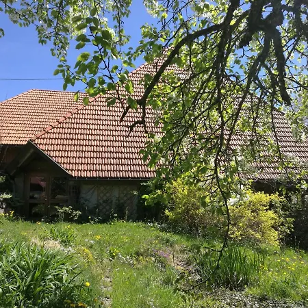 Ferienwohnung In Mutter's Stube *
